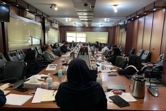 برگزاری دومین جلسه کمیته پیشگیری از خودکشی در شبکه بهداشت اسلامشهر 